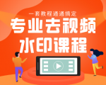 专业去视频水印教程 静态水印、动态水印、文字水印、图片水印一套教程通通搞定-成可创学网
