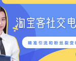 某站内部课程：淘宝客社交电商裂变，精准引流和粉丝裂变模式详解（共6节视频）-成可创学网