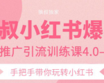 狼叔小红书爆款推广引流训练课4.0,手把手带你玩转小红书-成可创学网