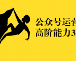 公众号运营高阶能力35讲,从月薪3k到月薪30k,新媒体人的必修课-成可创学网