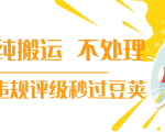 抖音纯搬运 不处理 小技巧，30秒发一个作品，避免违规评级秒过豆荚-成可创学网