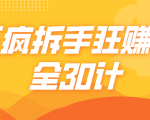 三疯拆手狂赚计,全30计课程-成可创学网