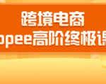 2020跨境电商蓝海新机会-SHOPEE大卖特训营:高阶终极课程(16节课)-成可创学网