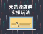 无货源店群实操玩法,蓝海选品的独特思路,店群软件操作方法(45节视频课)-成可创学网