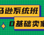 亚马逊系统班,专为0基础卖家量身打造,亚马逊运营流程与架构-成可创学网