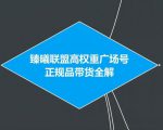 臻曦联盟抖音高权重广场号无人直播正规品带货全解-成可创学网