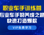 职业车手训练营:专业车手的养成之路,快速打造爆款(8节-无水印直播课)-成可创学网