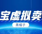 黑帽子淘宝虚拟卖货项目，单店每月收入5000+-成可创学网