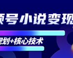 柚子微信视频号小说变现项目，全新玩法零基础也能月入10000+【核心技术】-成可创学网