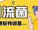 引流菌2020全网爆粉特训营(QQ群霸屏,知乎引流,群裂变,自动化引流等)-成可创学网
