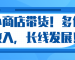 微信小商店带货,爆单多倍收入,长期复利循环!日赚300-800元不等-成可创学网