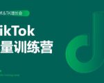 2020最新TikTok流量增长训练营（完结）附PPT-成可创学网