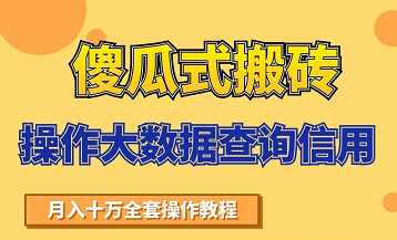 搬砖操作大数据查询信用项目赚钱教程，祝你快速月入6万-成可创学网