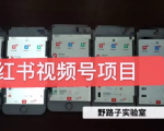 野路子小红书视频号1.0项目，直接上手操作就能赚钱的视频号项目-成可创学网
