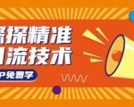 探探精准引流技术:探探上模拟器+探探做号方法+模拟器话术+视频演示-成可创学网