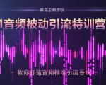 黄岛主·FM音频引流特训营2.0：独家引流模式，单账号50W+播放量，轻松变现-成可创学网