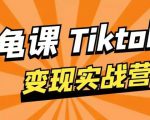 龟课·TikTok变现实战训练营线上第1期,多种变现模式,轻松赚美刀-成可创学网