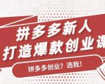 拼多多新人打造爆款创业课:快速引流持续出单,适用于所有新人-成可创学网