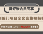 暴利偏门项目全套合集视频教程:你要的日赚1000+月入几万+项目都有-成可创学网