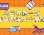 清和行记引流训练营:小白不到一周便能日引流几十精准粉-成可创学网