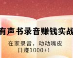 有声书录音赚钱实战:在家录音,动动嘴皮,日赚1000+!-成可创学网