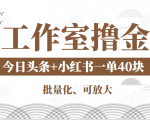 工作室撸金二件套:撸今日头条原创收益+小红书一单利润40块项目-成可创学网