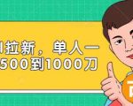Paypal拉新赚美刀项目,单人一天利润500-1000刀【视频课程】-成可创学网