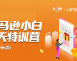 雨课·亚马逊小白特训营第9期 跨境电商挺赚钱的 有朋友已经月入几十万美金-成可创学网