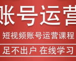 短视频账号运营课程:从话术到短视频运营再到直播带货全流程,新人快速入门-成可创学网