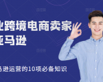职业跨境电商卖家聊亚马逊：亚马逊运营的10项必备知识，12堂课让你看懂亚马逊运营-成可创学网