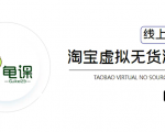 龟课·淘宝虚拟无货源电商5期，全程直播 现场实操，一步步教你轻松实现躺赚-成可创学网
