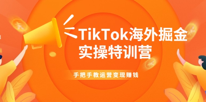 TikTok海外掘金实操特训营：手把手教运营变现赚钱-成可创学网
