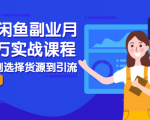 2021闲鱼副业月入过万实战课程：从开店到选择货源到引流，全程实战教学-成可创学网