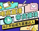 大鹏·电商直播带货课,系统学习直播带货各环节技巧和套路-成可创学网