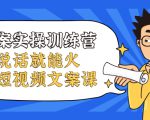 文案实操训练营，只说话就能火的短视频文案课-成可创学网