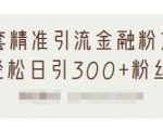 1套精准引流金融粉方法,轻松日引300+粉丝-成可创学网