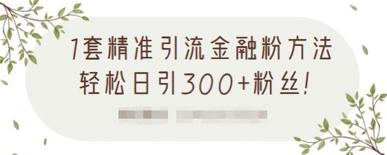 1套精准引流金融粉方法，轻松日引300+粉丝-成可创学网