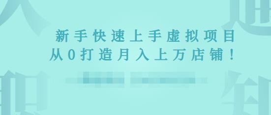 2022年虚拟项目实战指南，新手从0打造月入上万店铺-成可创学网