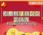 克里斯汀拼多多运营课，适合小白初涉平台，低成本入门-成可创学网