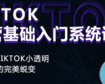 Tiktok实操进阶课程,体验从tiktok小透明到大佬的完美蜕变-成可创学网