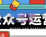零零已久·从0-1运营公众号，零基础小白也能上手，系统性了解公众号运营-成可创学网