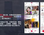 麦子互娱短视频带货·0基础做好物分享账号,无需出镜无需货源无需拍摄-成可创学网
