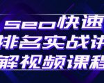 seo快速排名实战讲解视频课程，揭秘seo快排原理-成可创学网
