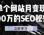 单个网站月变现100万的SEO秘密,百分百做出赚钱站点-成可创学网