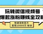 玩转微信视频号爆款涨粉赚钱全攻略,快速涨粉百万变现万元秘诀-成可创学网