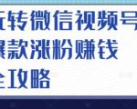玩转微信视频号爆款涨粉赚钱全攻略，让你快速抓住流量风口，收获红利财富-成可创学网