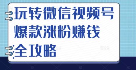 玩转微信视频号爆款涨粉赚钱全攻略，让你快速抓住流量风口，收获红利财富-成可创学网