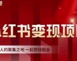 渣圈学苑·小红书虚拟资源变现项目，一起捞钱掘金价值1099元-成可创学网