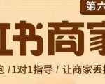 贾真-小红书商家营第6期商家版，21天带货陪跑课，让商家丢掉付流量-成可创学网