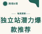 【跨境B哥】独立站潜力爆款选品推荐,测款出单率高达百分之80-成可创学网